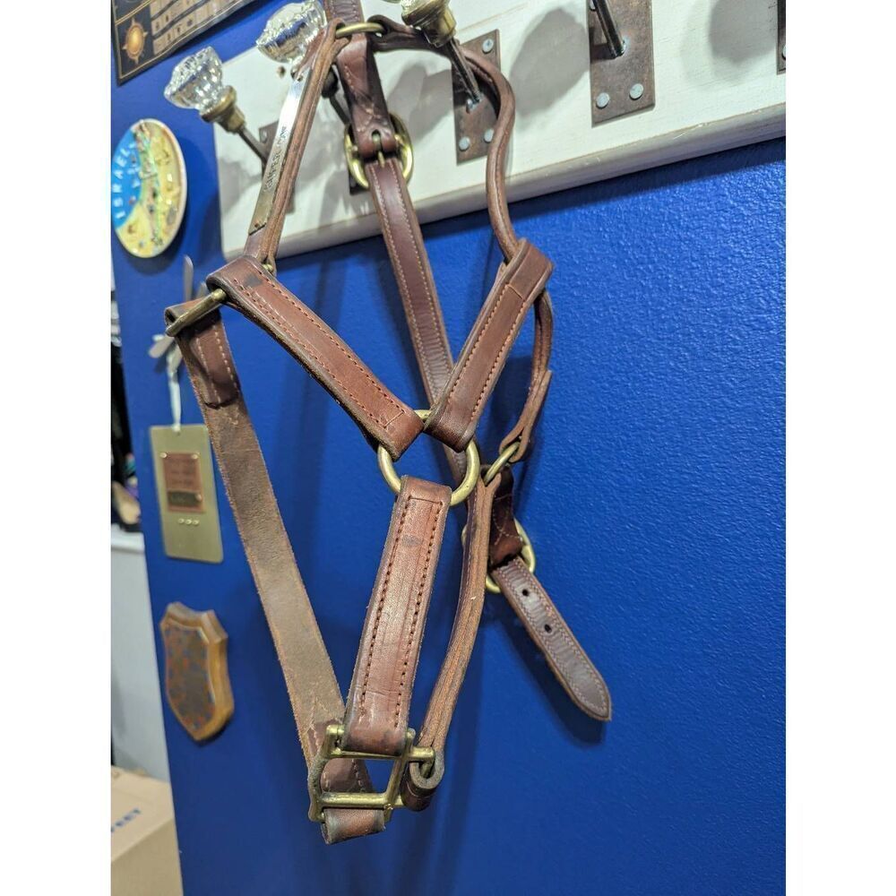 Leather Thoroughbred Race HorseāHalter - Picture 5 of 9